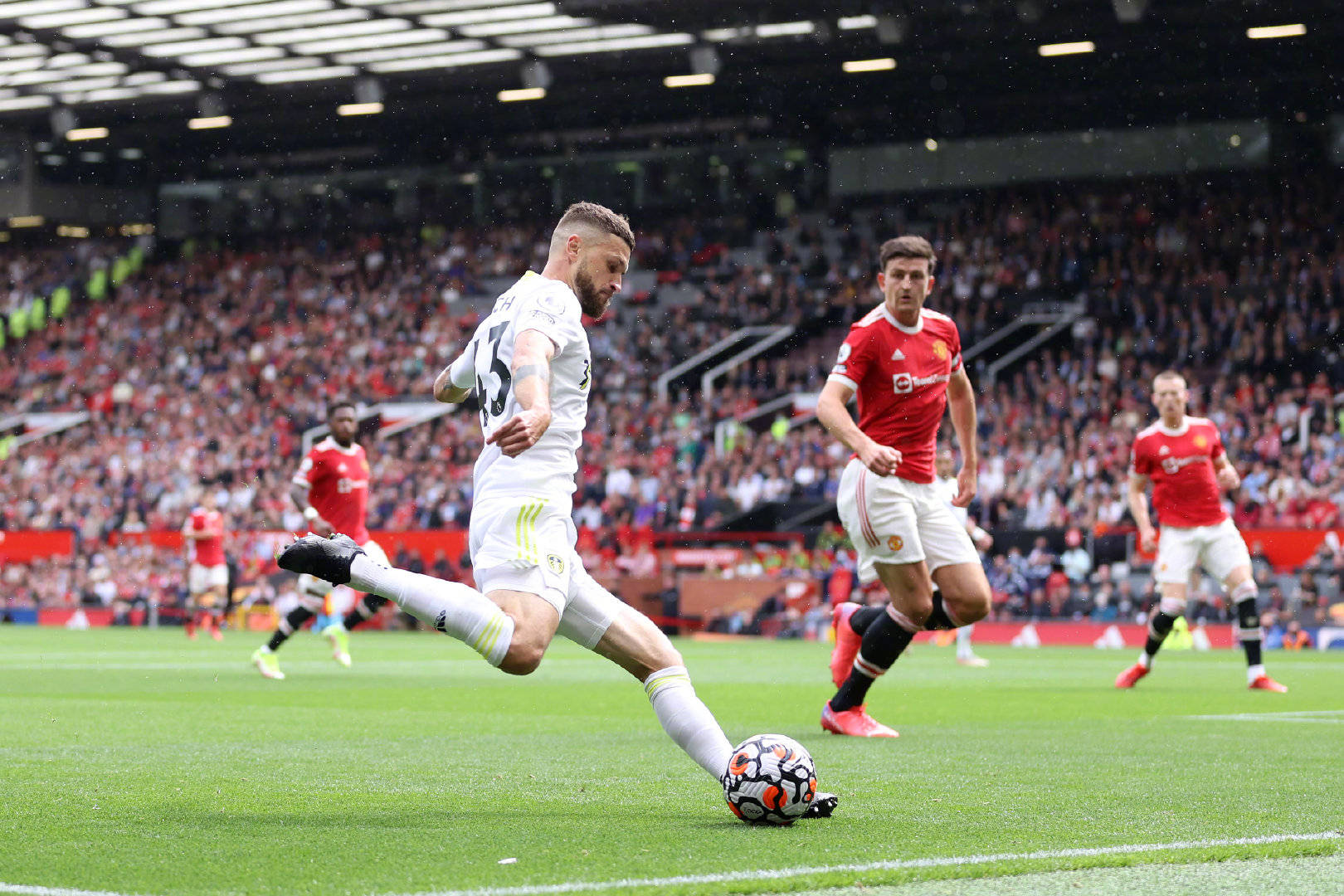 手的特点 手的特点